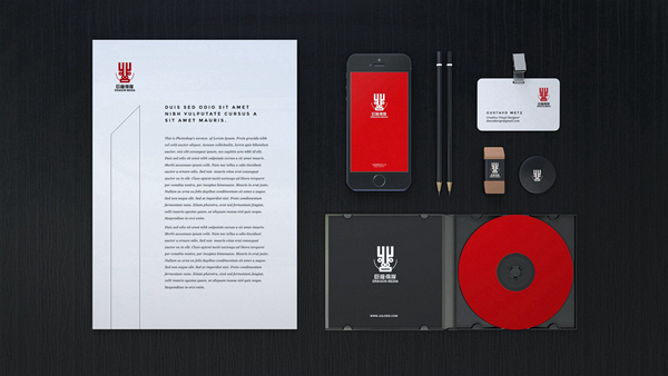 濟(jì)南傳媒LOGO設(shè)計(jì), 濟(jì)南傳媒標(biāo)志設(shè)計(jì), 濟(jì)南傳媒品牌, 最好的 logo設(shè)計(jì)公司, 山東設(shè)計(jì)公司,