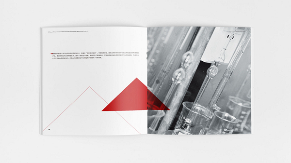 濟(jì)南畫冊(cè)設(shè)計(jì), 山東畫冊(cè)設(shè)計(jì),濟(jì)南視覺設(shè)計(jì),山東視覺設(shè)計(jì)