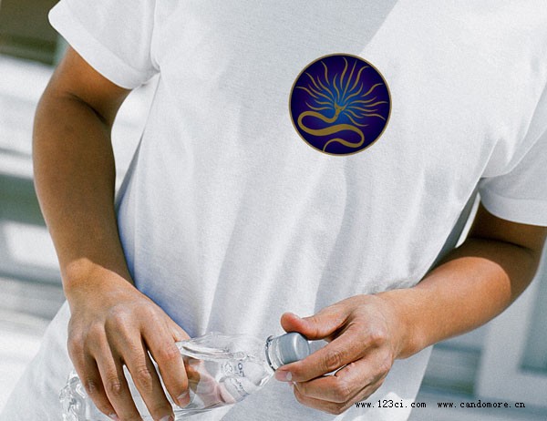 品牌英文命名、企業(yè)LOGO、產(chǎn)品包裝設(shè)計(jì)、品牌整體VI設(shè)計(jì)、品牌標(biāo)志設(shè)計(jì)、品牌VI設(shè)計(jì)、中英文標(biāo)準(zhǔn)字體、英文圖形標(biāo)設(shè)計(jì)標(biāo)準(zhǔn)色彩