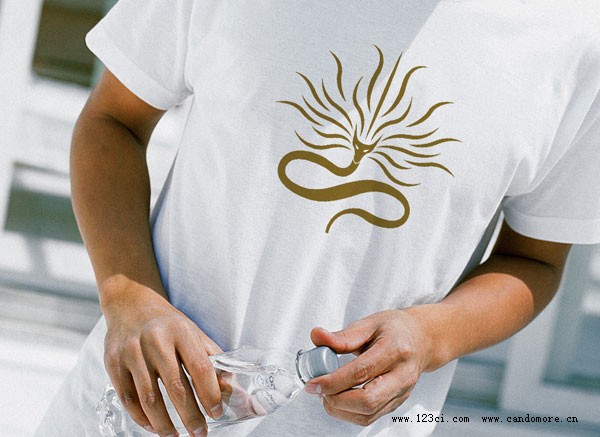 品牌英文命名、企業(yè)LOGO、產(chǎn)品包裝設(shè)計(jì)、品牌整體VI設(shè)計(jì)、品牌標(biāo)志設(shè)計(jì)、品牌VI設(shè)計(jì)、中英文標(biāo)準(zhǔn)字體、英文圖形標(biāo)設(shè)計(jì)標(biāo)準(zhǔn)色彩