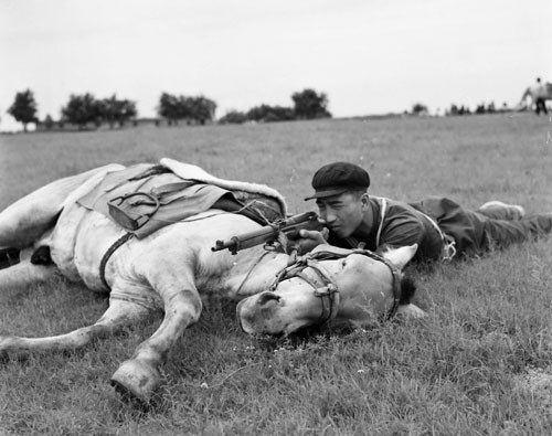 《百名攝影記者聚焦中國》畫冊首發(fā)式在京舉行
