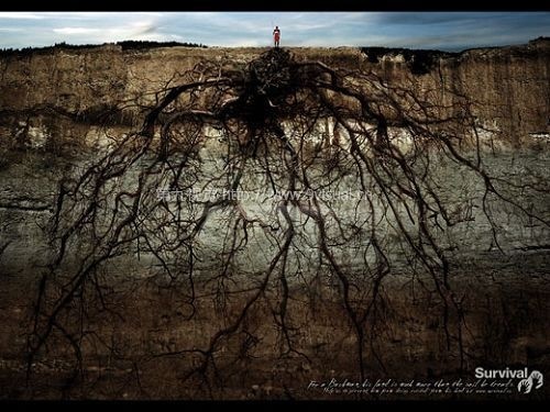 濟(jì)南廣告創(chuàng)意,濟(jì)南廣告策劃